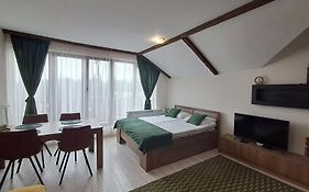Large Studio With View In Borovets Gardens